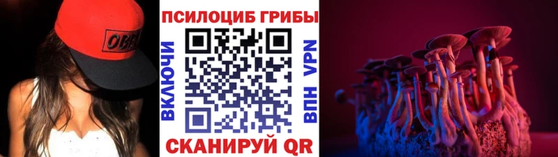 Галлюциногенные грибы прущие грибы  где найти   Приозерск 