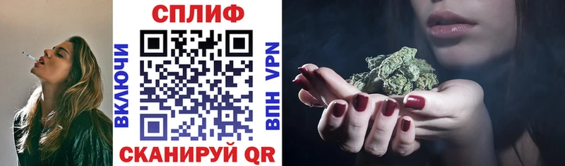 OMG маркетплейс  Приозерск  даркнет какой сайт  Бошки марихуана Ganja 